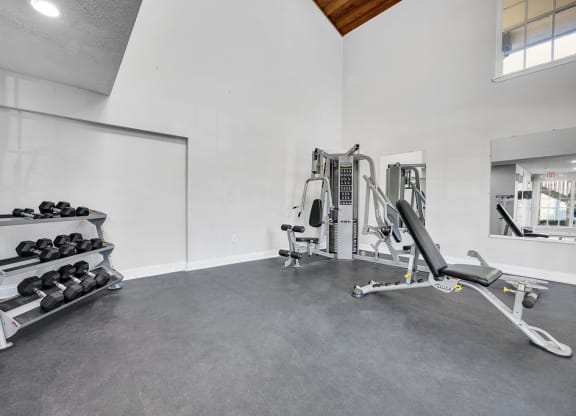 the gym in the owners home