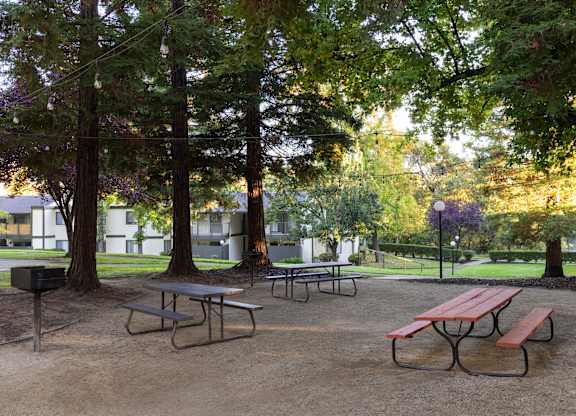 Picnic tables are set up in a park.