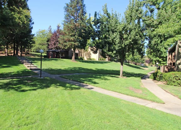 A park with a walking path and trees.