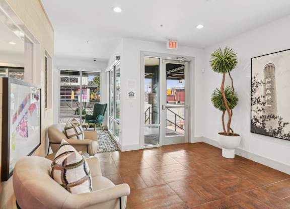 A living room with a couch and a plant.