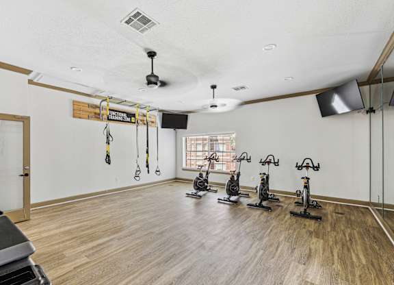 A gym with a row of stationary bikes and a bench.
