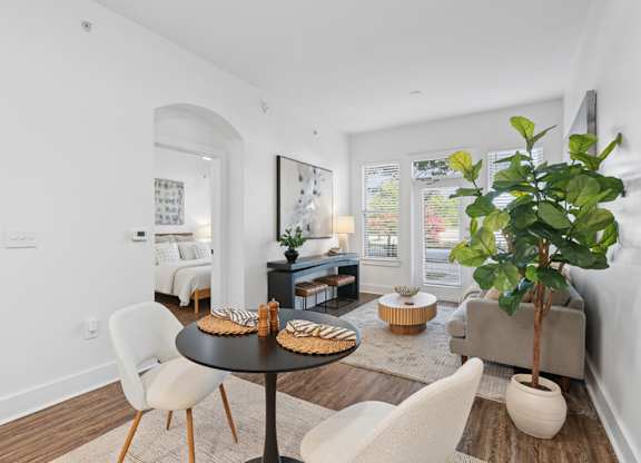 A dining table with chairs and a potted plant in a living room.