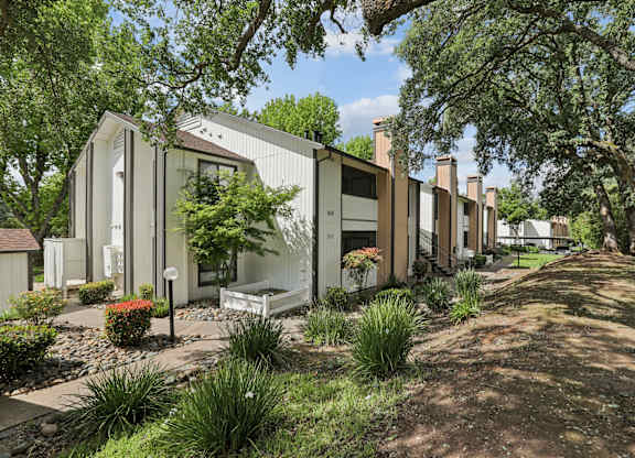 A row of houses with trees in front.