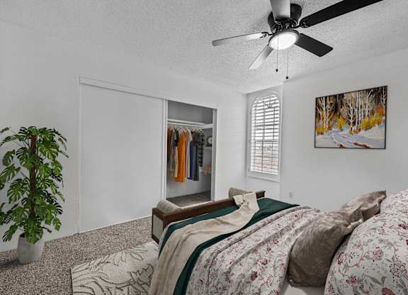 A bedroom with a bed, a ceiling fan, and a plant.