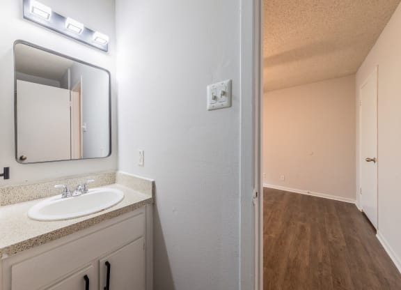 a bathroom with a sink and a mirror