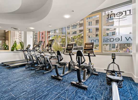 a gym with cardio equipment and weights on a blue rug