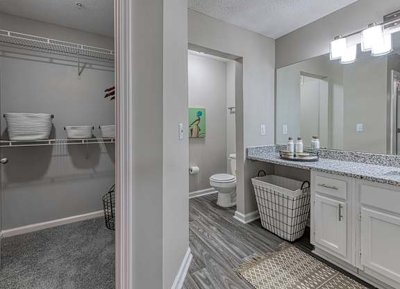 A bathroom with a toilet, sink, and a mirror.