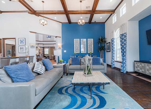 A living room with a grey couch and a blue rug.