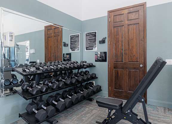 A room with a row of dumbbells and a bench.