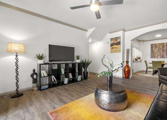 A living room with a television, a bookshelf, and a plant.