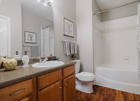 a bathroom with a sink toilet and shower and a mirror