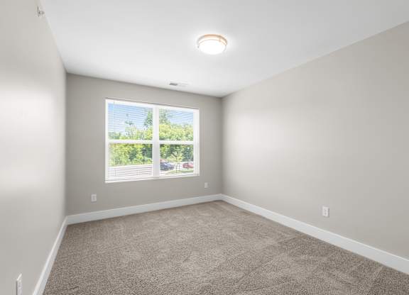 A room with a carpeted floor and a window showing a view of trees.