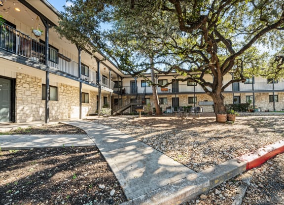 our apartments offer a courtyard with trees and seating