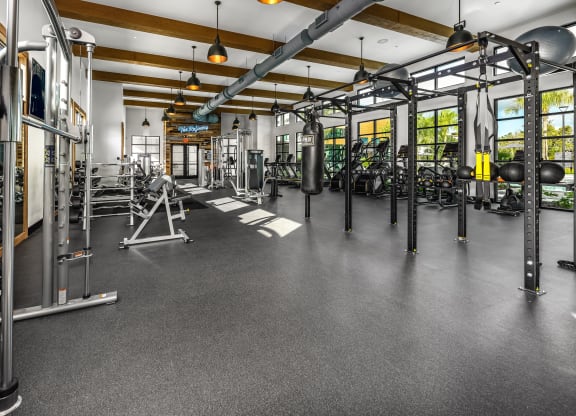 a gym with weights and cardio equipment on the floor and glass doors at The Alibi at Lake Lilly, Ocoee, FL