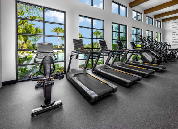 a gym with rows of cardio equipment and windows at The Alibi at Lake Lilly, Ocoee, FL