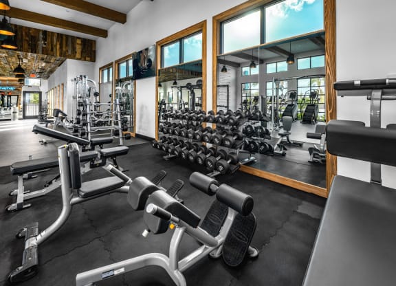 Gym at The Alibi at Lake Lilly, Ocoee, FL