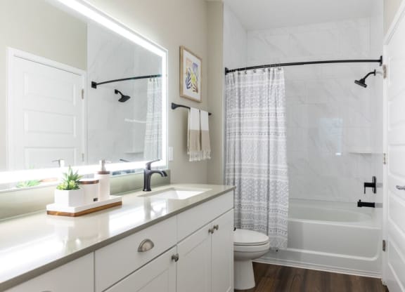 Bathroom at 19 South Apartments, Florida, 34744
