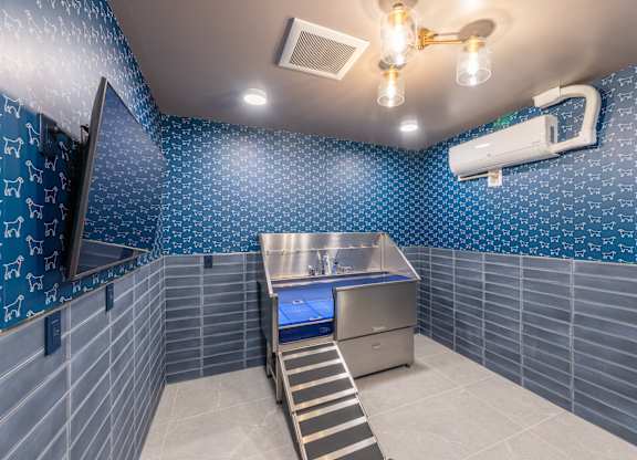 A room with a television and a slide.