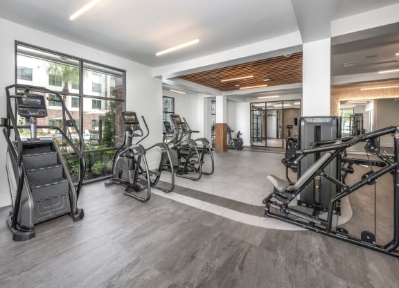 a gym with weights and other equipment in a building with large windows at The Haven at Lake Britt Apartments, Winter Garden, 34787