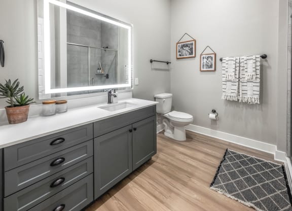 a bathroom with a sink and a toilet at The Haven at Lake Britt Apartments, Florida