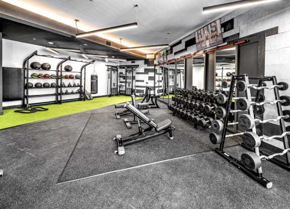 the gym is equipped with weights and cardio equipmentat The Overlook, Winter Garden, 34787