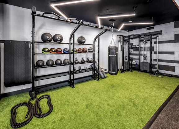 the home gym has a green carpet and shelving with helmets and other equipmentat The Overlook, Winter Garden, Florida