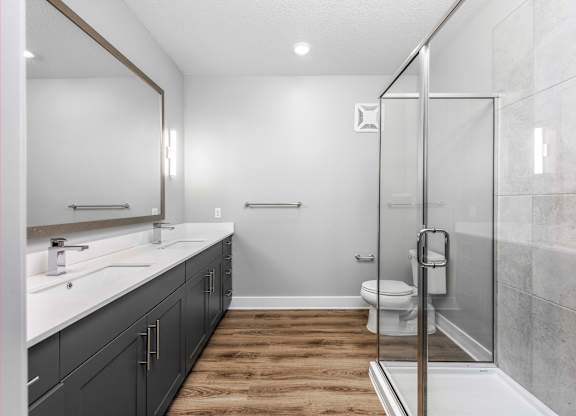 A bathroom with a walk-in shower and a toilet.