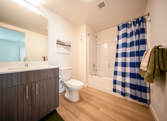 a bathroom with a blue and white shower curtain and a toiletat Scouter's Mountain, Oregon