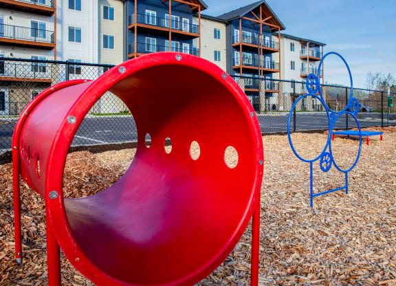 a playground at the preserve at polk apartmentsat Scouter's Mountain, Oregon, 97086