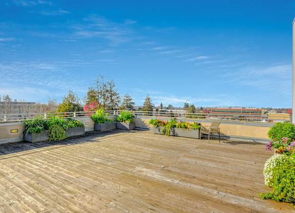 A rooftop garden with wooden decking and a variety of plants. at Acton Courtyard, Berkeley, CA, 94703