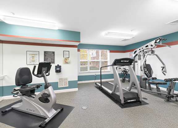 A gym with a treadmill, exercise bike, and weights.