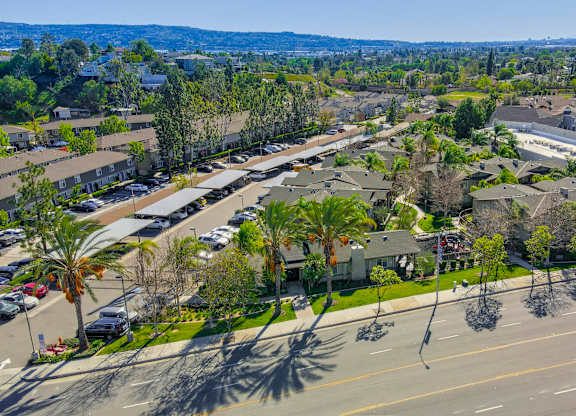 A view of a street with cars and palm trees at Yorba Linda Apartments, Yorba Linda California