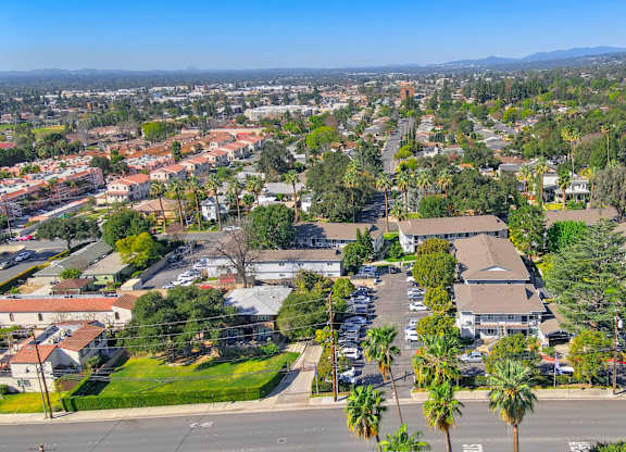 A residential area with houses and palm trees.