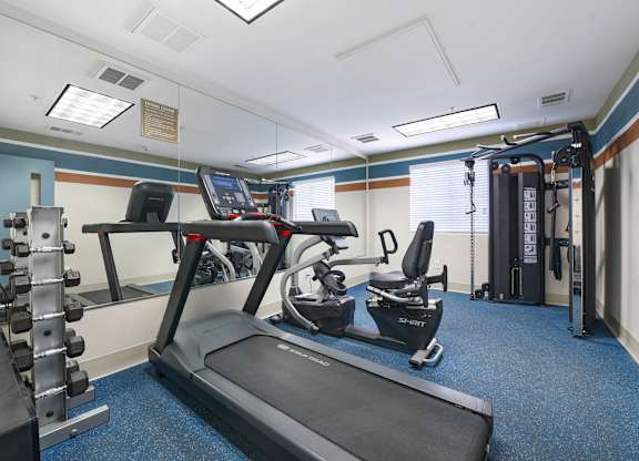 A gym with a treadmill, weights, and exercise equipment.