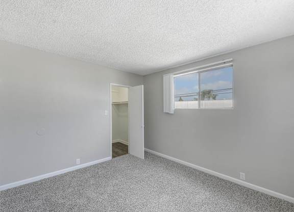 Wall-To-Wall Carpeting at Seaport Village, California, 90805