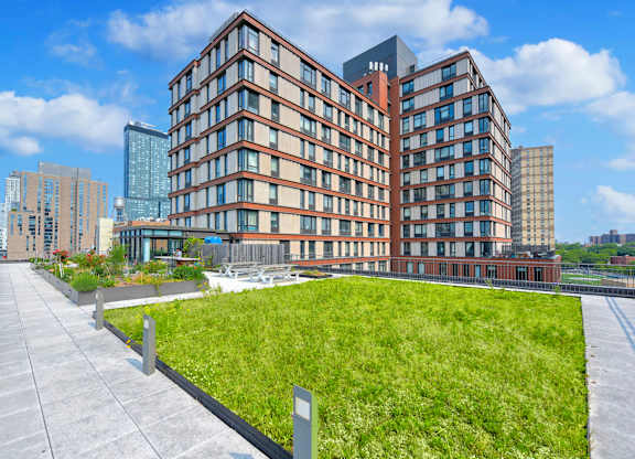 Building with Green Lawn at 535 Carlton Ave Apartments, Brooklyn, 11238