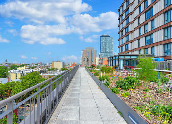 Terrace Garden at 535 Carlton Ave Apartments, Brooklyn, NY