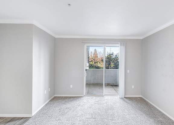 A room with a carpeted floor and a sliding glass door leading outside.