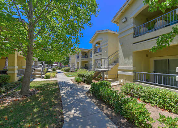 A tree in front of a building with a clear blue sky at Hurley Creek Apartment Homes, California, 95834