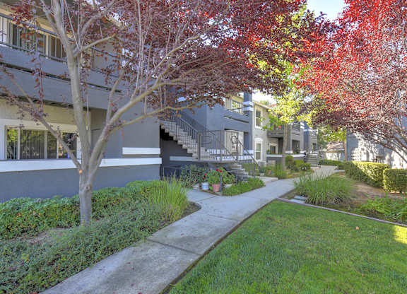 A tree with red leaves is in front of a building.