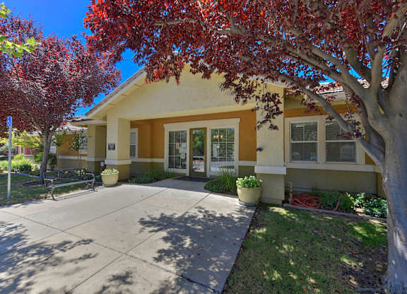 A yellow house with a red tree in front at Hurley Creek Apartment Homes, Sacramento, CA