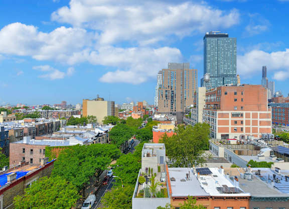 Cityscape with Buildings  at 535 Carlton Ave Apartments, New York