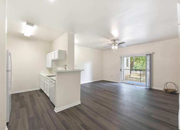 Spacious Room at Acclaim at South Congress, Texas