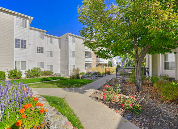 Courtyard Walking Path at Ascent, Colorado
