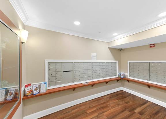 A room with a long counter and a wall of drawers.