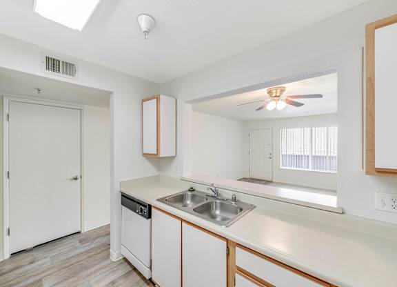 A kitchen with a white sink and a white door.