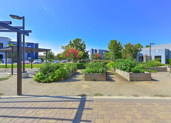 Residential Courtyard at The Ridge Apartments, Elk Grove, 95757