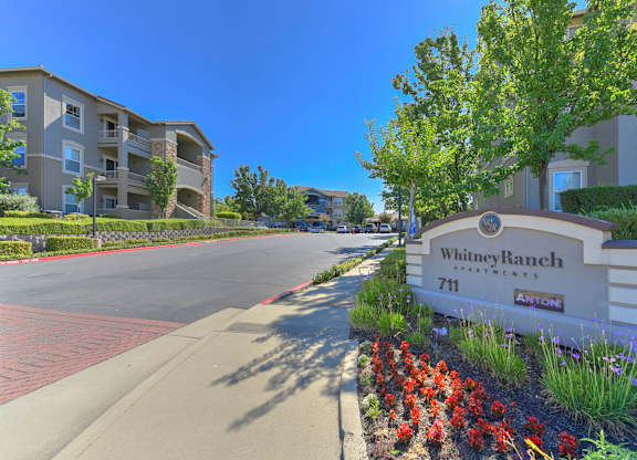 A sunny day at the Whitney Ranch Apartments with a clear blue sky.