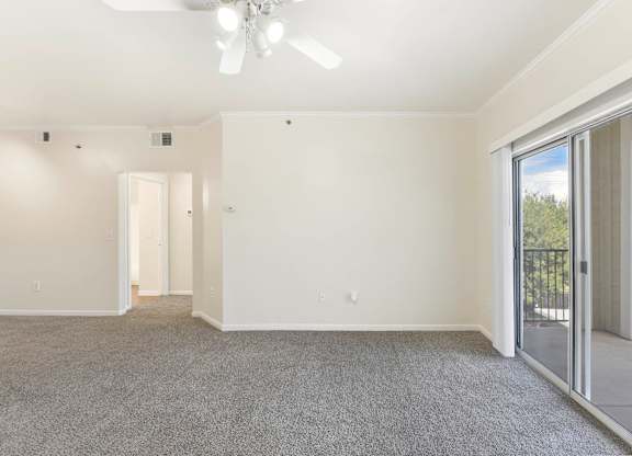 Vacant Room at Acclaim at South Congress, Austin, 78704