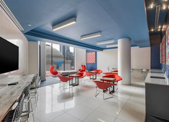Sky Lounge With TV at 7 Dekalb, Brooklyn, 11201
